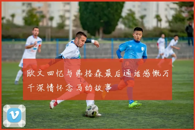 欧文回忆与弗格森最后通话感慨万千深情怀念马的故事