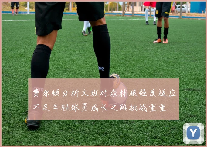 费尔顿分析文班对森林狼强度适应不足年轻球员成长之路挑战重重